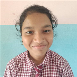 MEHAK NOWSIN