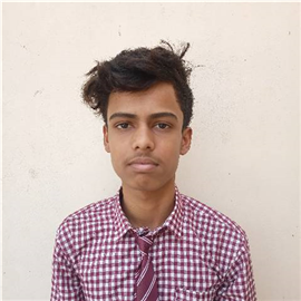 SARJIN ALI