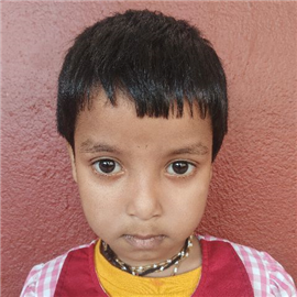 JAYITA ROY